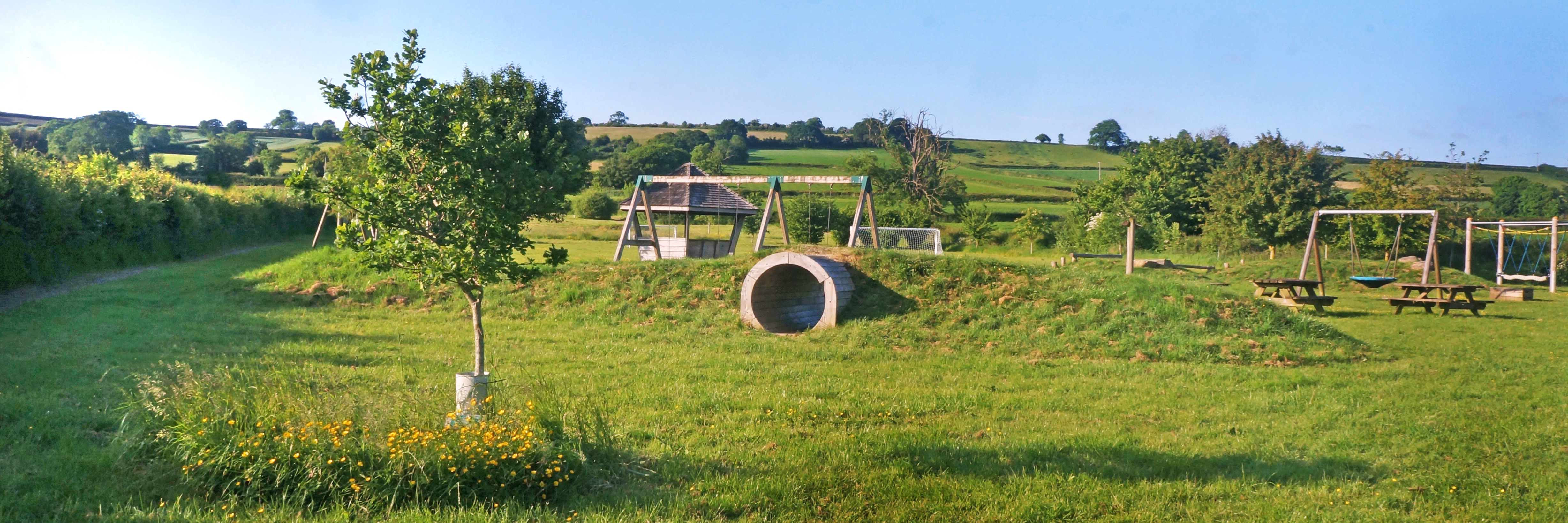Community field play area