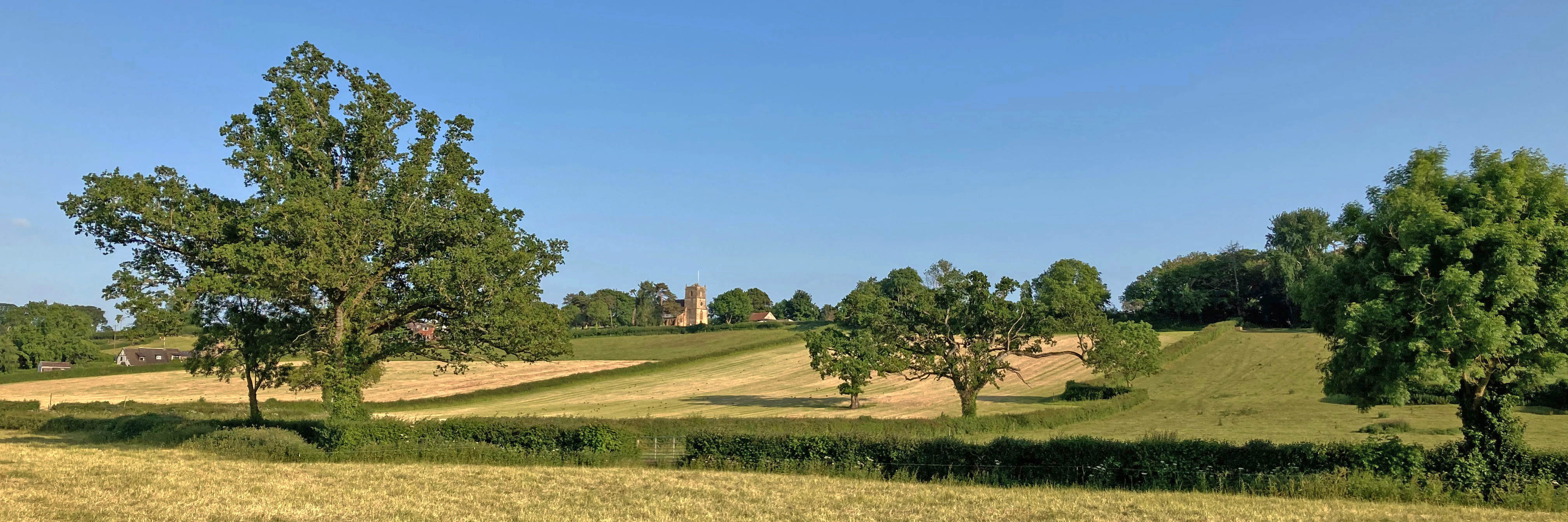 Evening view of St Mary's from Chinnock brook